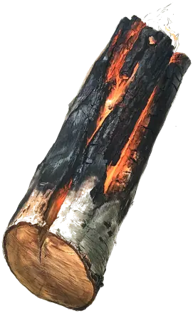 Illustration d’une bûche carbonisée, aux fentes incandescentes, avec une petite flamme