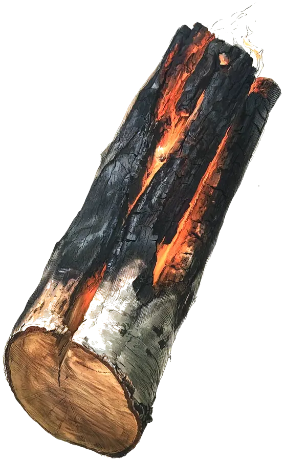Illustration d’une bûche carbonisée, aux fentes incandescentes, avec une petite flamme